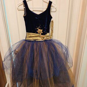 Blue velvet Ballet Costume - Adult Small